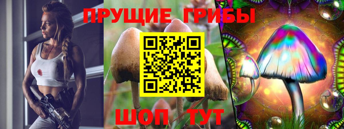 Галлюциногенные грибы Magic Shrooms Павловский Посад