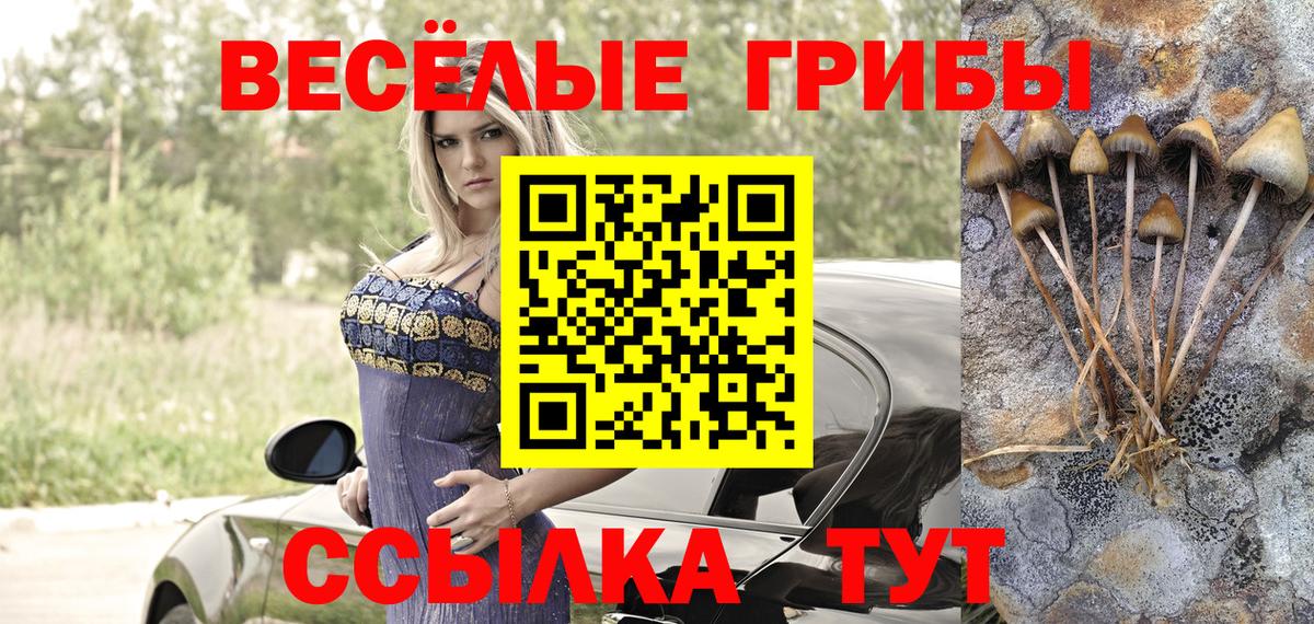 Галлюциногенные грибы Magic Shrooms  Псилоцибиновые грибы Psilocybe  купить   Вход с VPN  Павловский Посад 