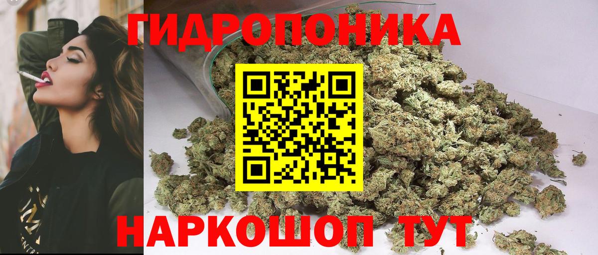 Бошки марихуана планчик  Бошки марихуана SATIVA & INDICA  Шишки марихуана ГИДРОПОН  Конопля Bruce Banner  Вход с VPN  Павловский Посад 
